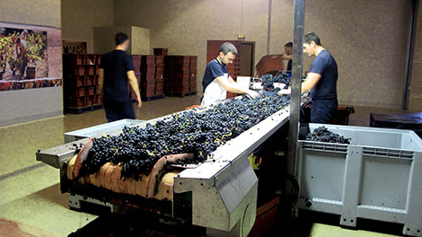 mesa seleccion.jpg